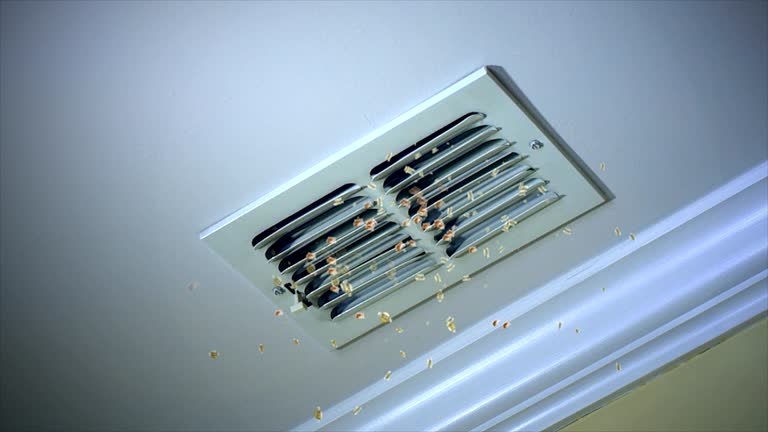 Best HVAC System Cleaning  in Saranac Lake, NY